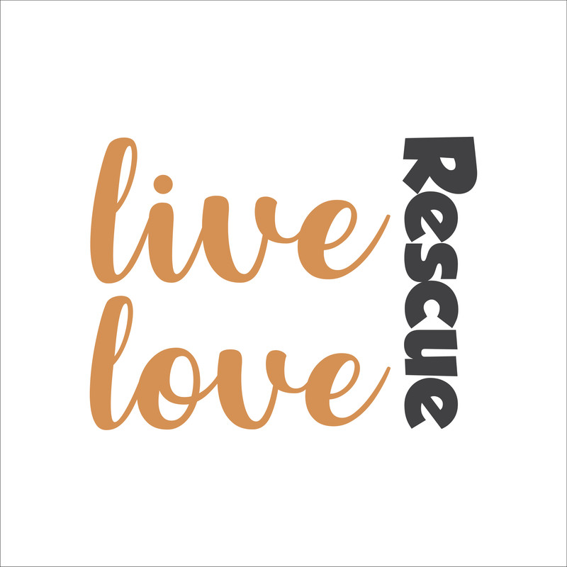 Cat Rescue Sticker Designs-05.jpg