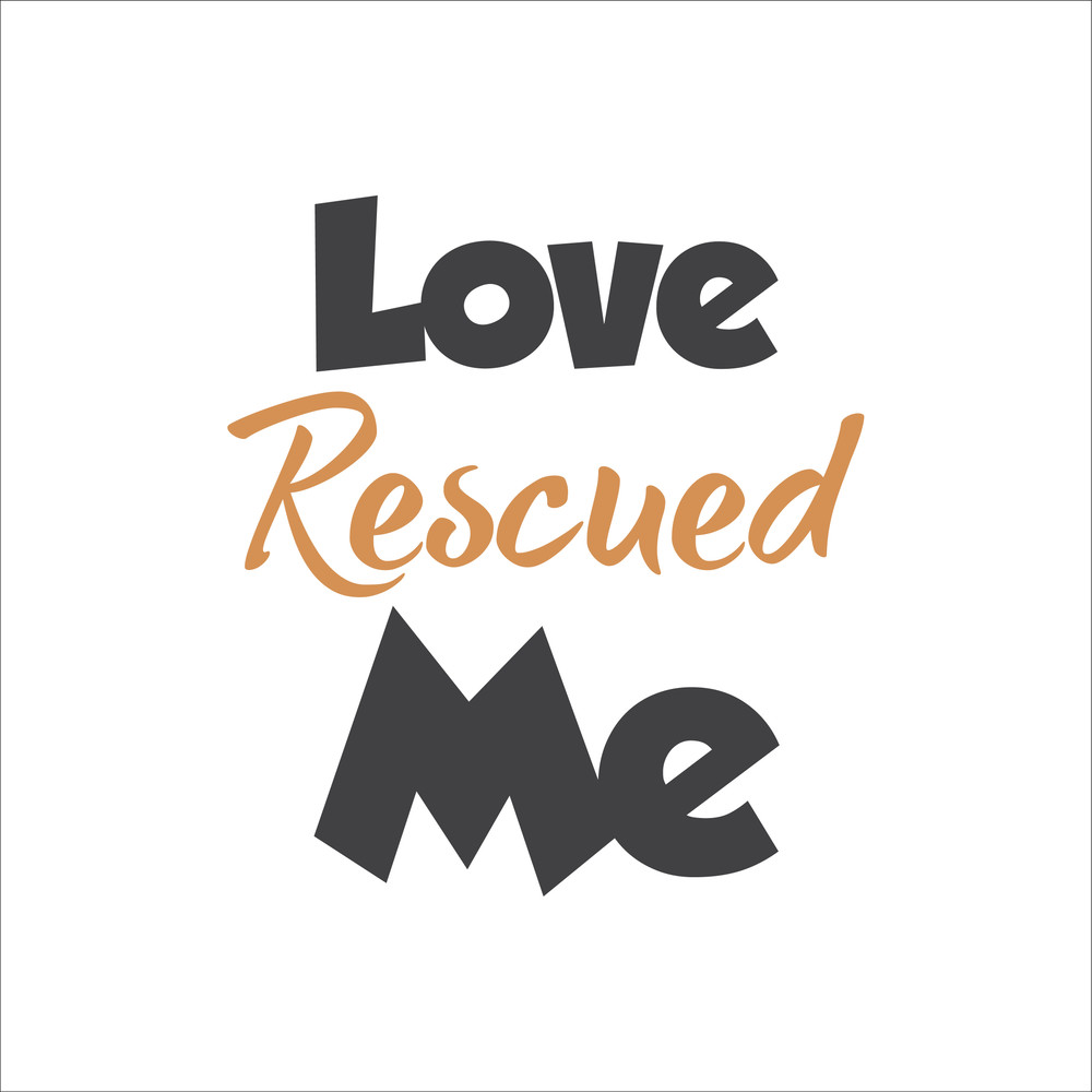 Cat Rescue Sticker Designs-09.jpg