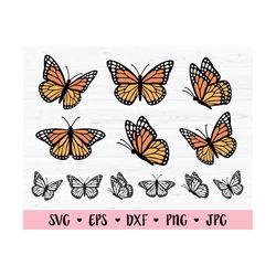 Butterfly SVG Bundle 12 Layered cut files Cute Monarch Butterflies Outline Spring Silhouette Cricut Vinyl Decal Girl Shi