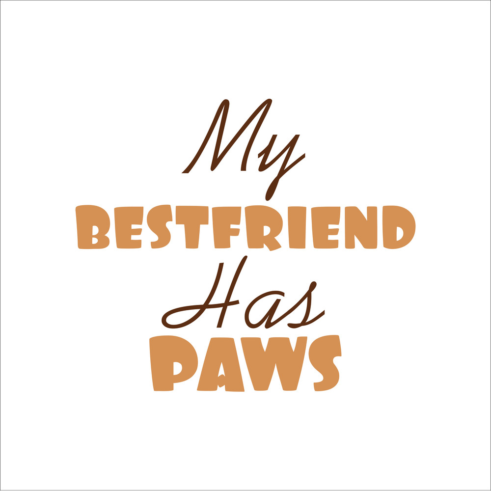 Cat Rescue Sticker Designs-23.jpg