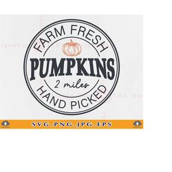 pumpkin svg file, farm fresh pumpkins svg, fall svg, fall farmhouse decor, round fall sign svg, autumn shirt, cut files
