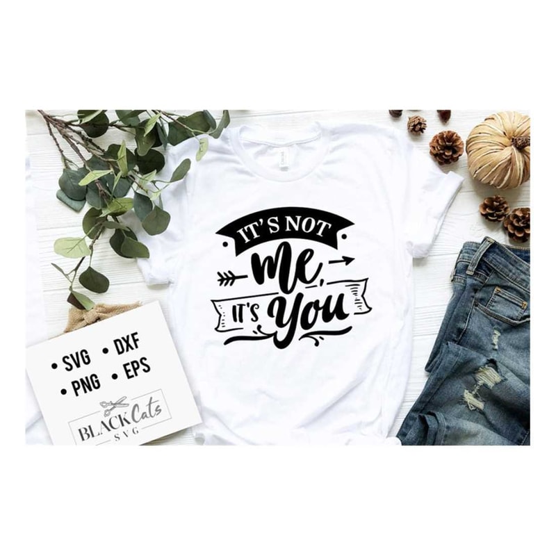 MR-219202318616-its-not-me-its-you-svg-anti-valentines-day-image-1.jpg
