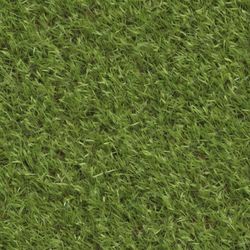 Lawn Grass 43 Pattern Tileable Repeating Pattern