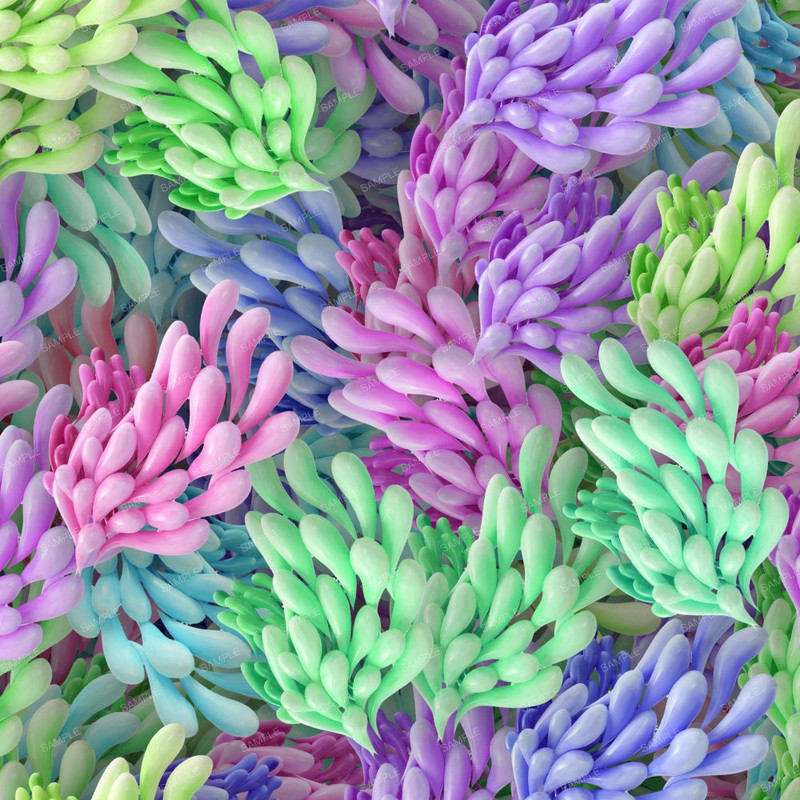 Stretched Balloons.jpg