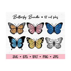 Butterfly SVG Bundle 12 Layered cut files Cute Butterflies Outline Spring Beautiful Insect Freedom Silhouette Cricut Vin