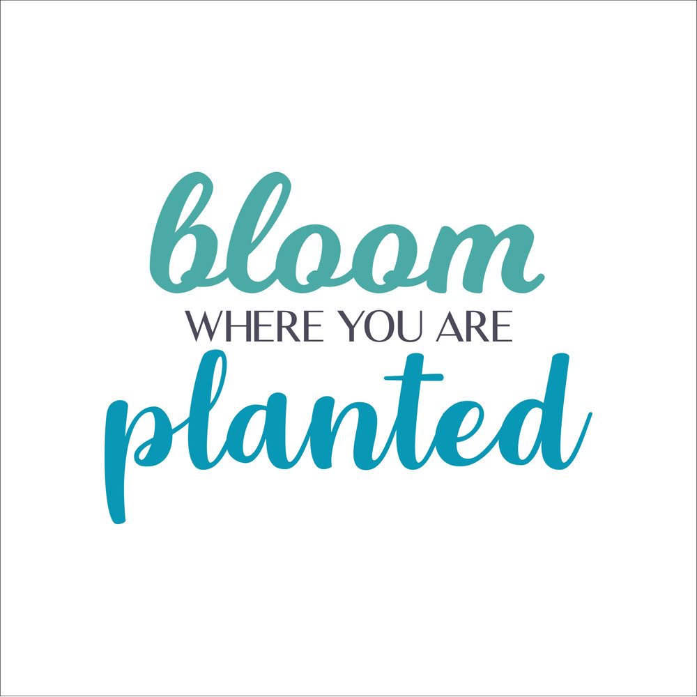 Inspirational Sticker Design-18.jpg