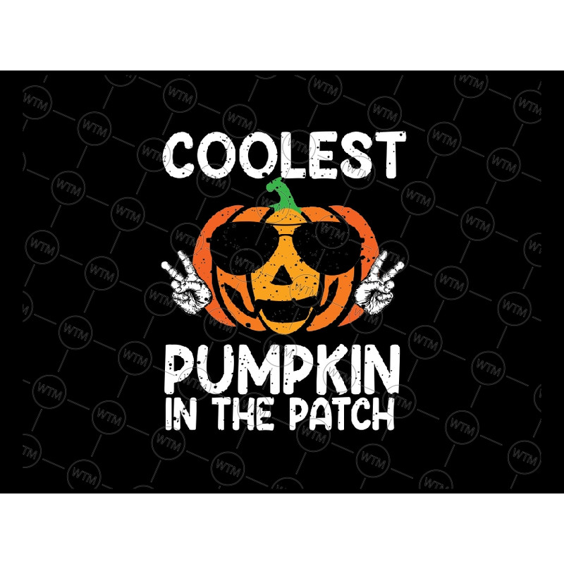 UNICORN WTM_CV_HLO1061.jpg