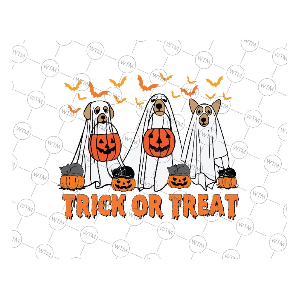 UNICORN WTM_CV_HLO1078.jpg