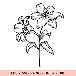 Flower Svg Outline Lily Svg File for Cricut Floral bouquet dxf Line Sublimation for laser cut Branch Png