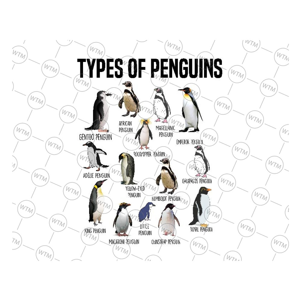 UNICORN WTM_CV_HLO1158 PNG.jpg