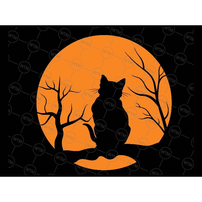 UNICORN WTM_CV_HLO1163.jpg