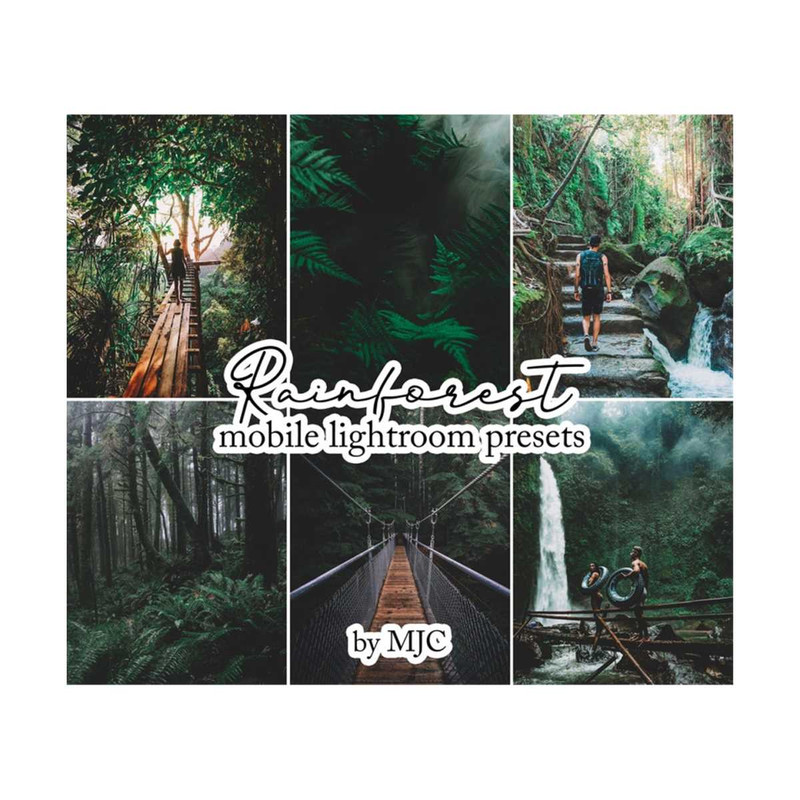 MR-2292023212814-forest-presets-lightroom-presets-instagram-presets-image-1.jpg