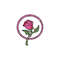 MR-23920239273-beauty-and-the-beast-svg-rose-svg-beauty-and-the-beast-image-1.jpg