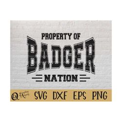 badger nation svg, badgers mascot svg, badgers school spirit svg, badgers cheerleading, badgers svg, cricut, silhouette,