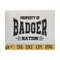 MR-239202393259-badger-nation-svg-badgers-mascot-svg-badgers-school-spirit-image-1.jpg