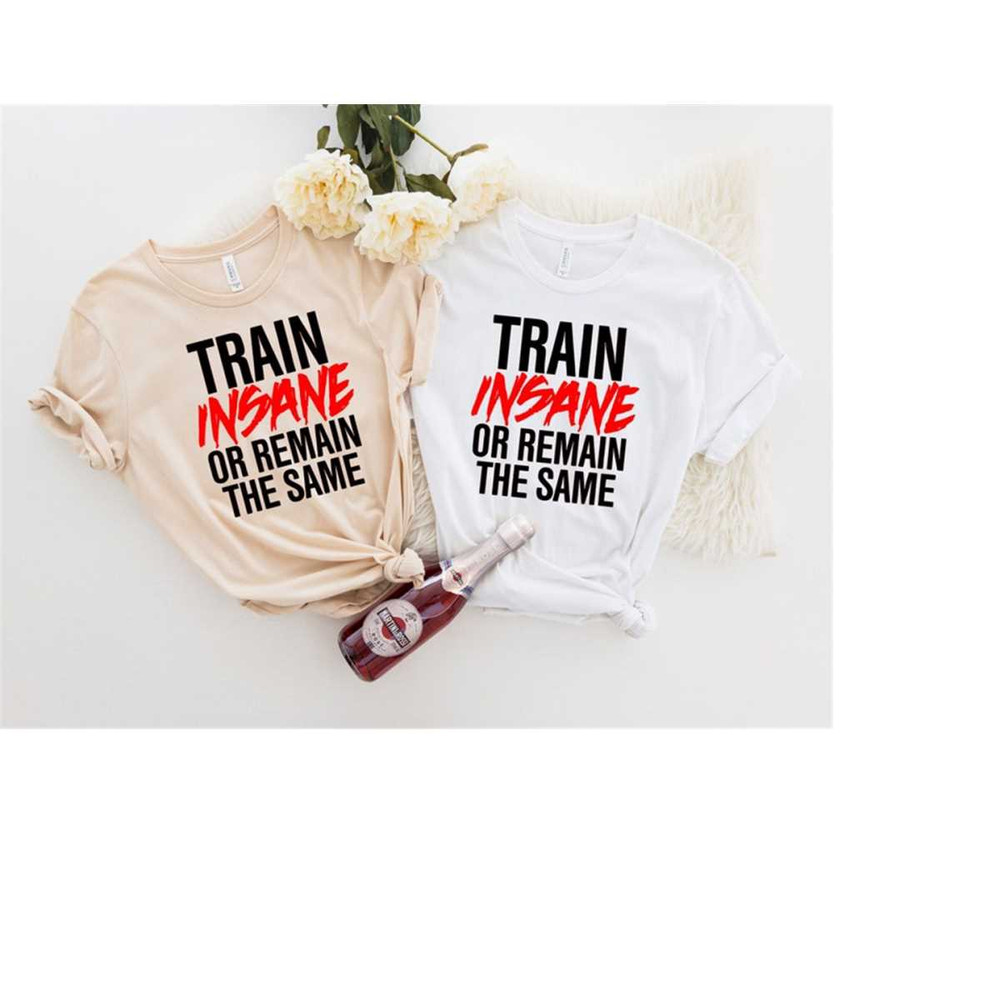 MR-2392023102715-train-insane-or-remain-the-same-shirt-fitness-shirt-workout-image-1.jpg