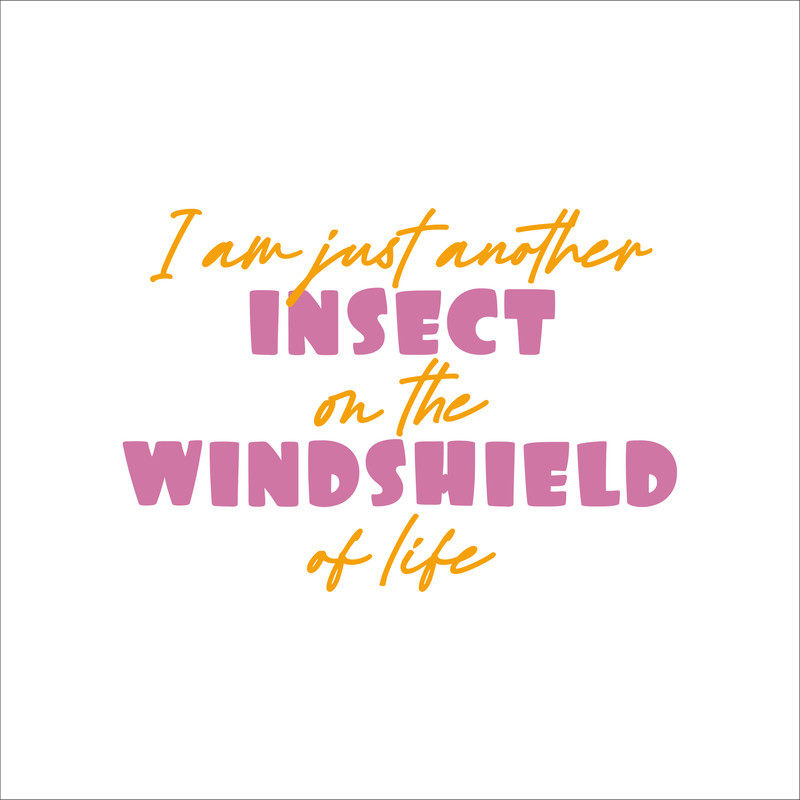 Pretty Insect Designs-11.jpg