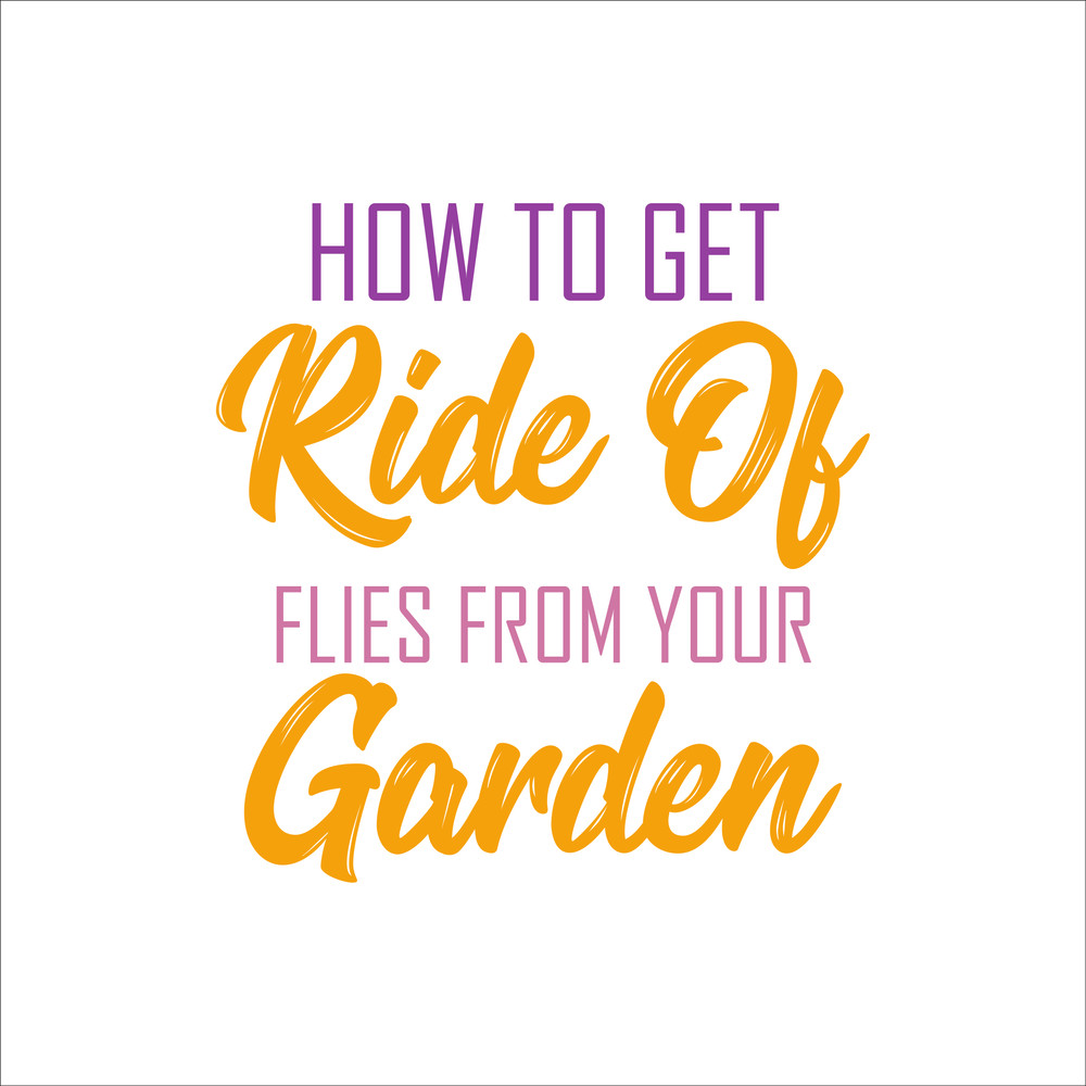 Pretty Insect Designs-25.jpg