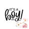 MR-2392023142527-its-a-boy-svg-pregnancy-announcement-svg-gender-reveal-image-1.jpg