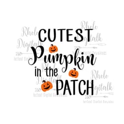 cutest pumpkin in the patch