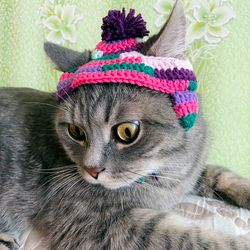 Hat for cat crochet Cat outfit Cat hat crochet Pet costumes for cats Gift for cat