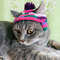 Hat-for-cat-crochet-Cat-outfit-Cat-hat-crochet-Pet-costumes-for-cats-Gift-for-cat-05.jpg