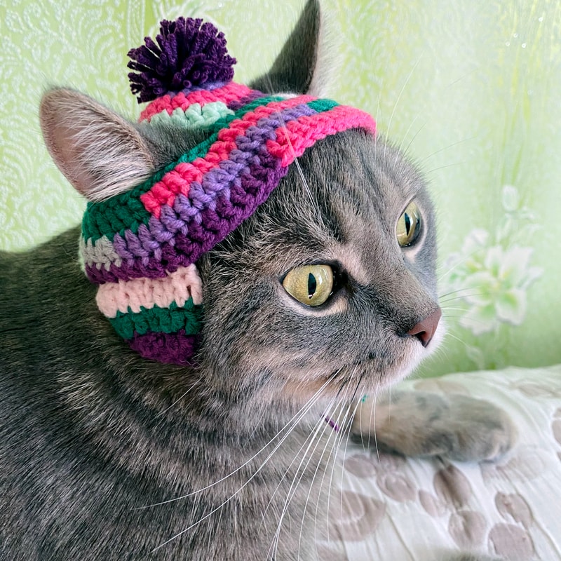 Hat-for-cat-crochet-Cat-outfit-Cat-hat-crochet-Pet-costumes-for-cats-Gift-for-cat-02.jpg