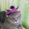 Hat-for-cat-crochet-Cat-outfit-Cat-hat-crochet-Pet-costumes-for-cats-Gift-for-cat-03.jpg