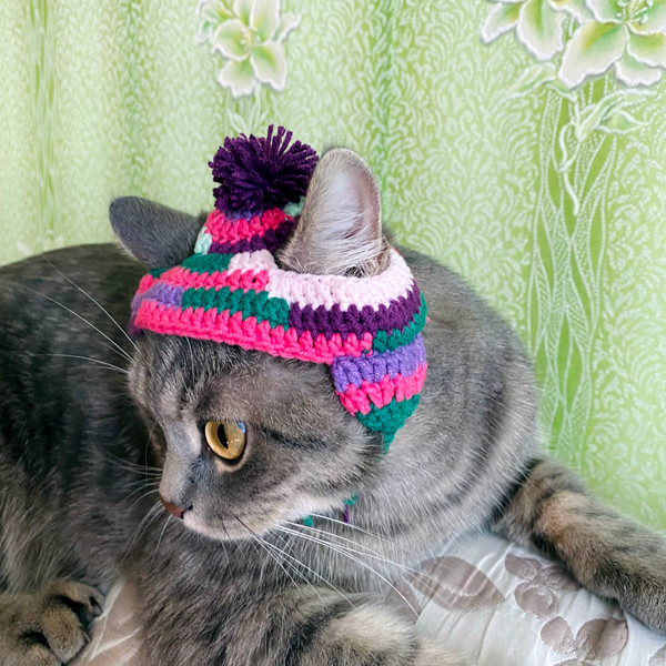 Hat-for-cat-crochet-Cat-outfit-Cat-hat-crochet-Pet-costumes-for-cats-Gift-for-cat-12.jpg