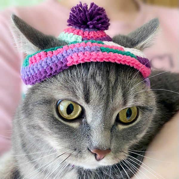 Hat-for-cat-crochet-Cat-outfit-Cat-hat-crochet-Pet-costumes-for-cats-Gift-for-cat-13.jpg