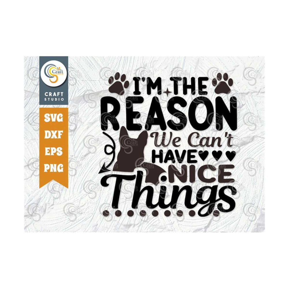 MR-239202317326-im-the-reason-we-cant-have-nice-things-svg-cut-file-image-1.jpg