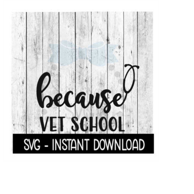 MR-2392023195517-because-vet-school-svg-funny-wine-quotes-svg-file-instant-image-1.jpg