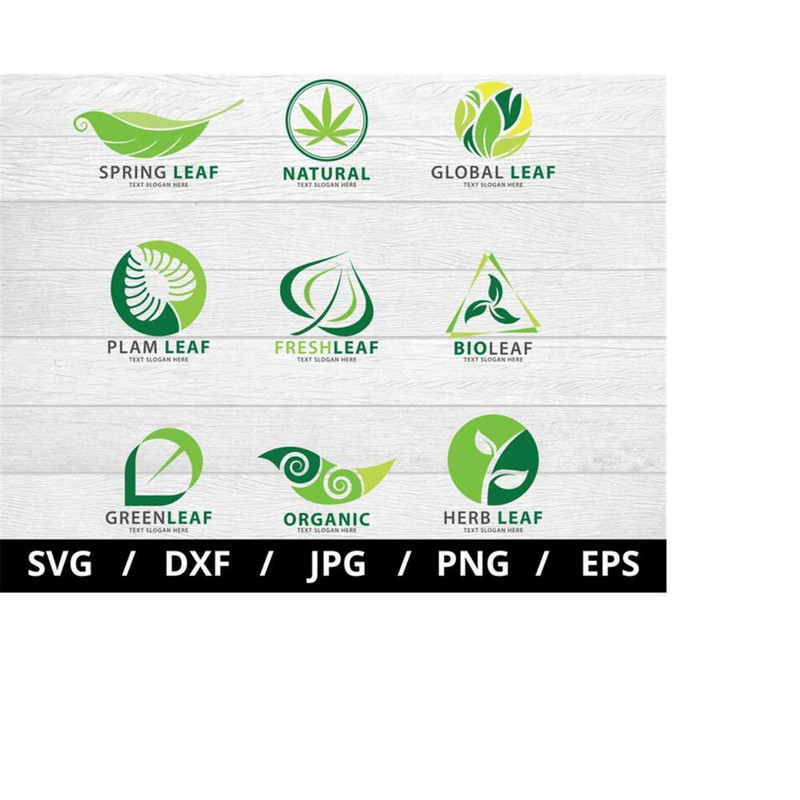 MR-2392023212945-green-leaf-logo-sets-collection-illustration-svg-spring-leaf-image-1.jpg