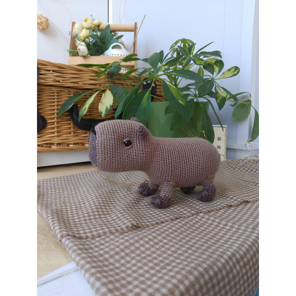 Amigurumi Capybara crochet pattern 7.jpg