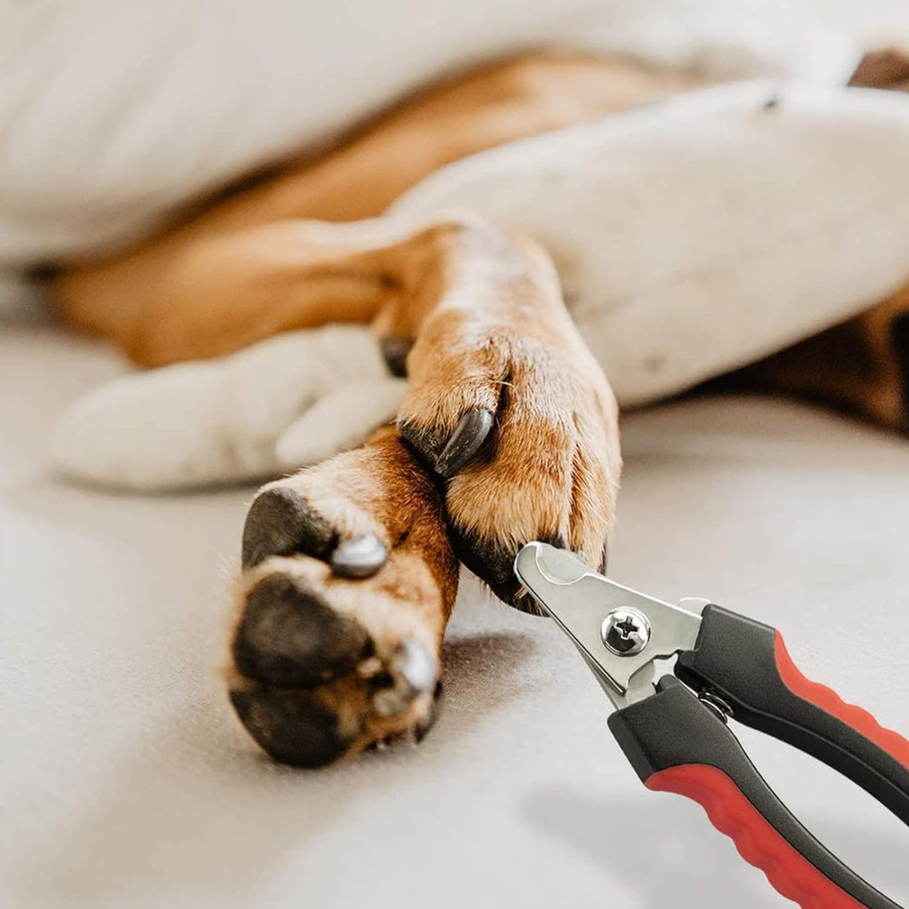 Pet Nail Clippers Trimmer for Dogs and Cats 1
