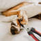 Pet Nail Clippers Trimmer for Dogs and Cats 1