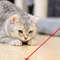 Rechargeable Laser Pointer Cat Toy UV Flashlight 1
