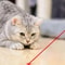 Rechargeable Laser Pointer Cat Toy UV Flashlight 1