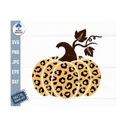 Leopard Pumpkin Svg, Halloween Leopard Pumpkin Svg, Cheetah Print Pumpkin Svg, Pumpkin Svg, Leopard Svg, Thanksgiving Pu