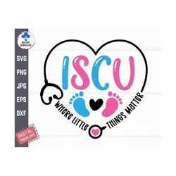 ISCU Nurse Where Little Things Matter Svg, ISCU Nurse Svg, ISCU Stethoscope Heart Svg, iscu Nursery Svg, Infant Special