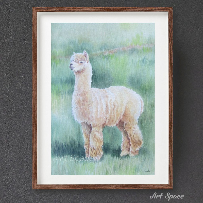 Llama - alpaca - farm - animal - pets - sleep - watercolor painting - blue painting - painting for children - painting for village - 2.jpg