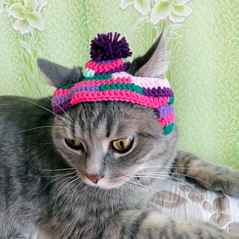 Crochet-cat-hat-pdf-Amigurumi-patterns-for-beginners-Digital-file-23.jpg