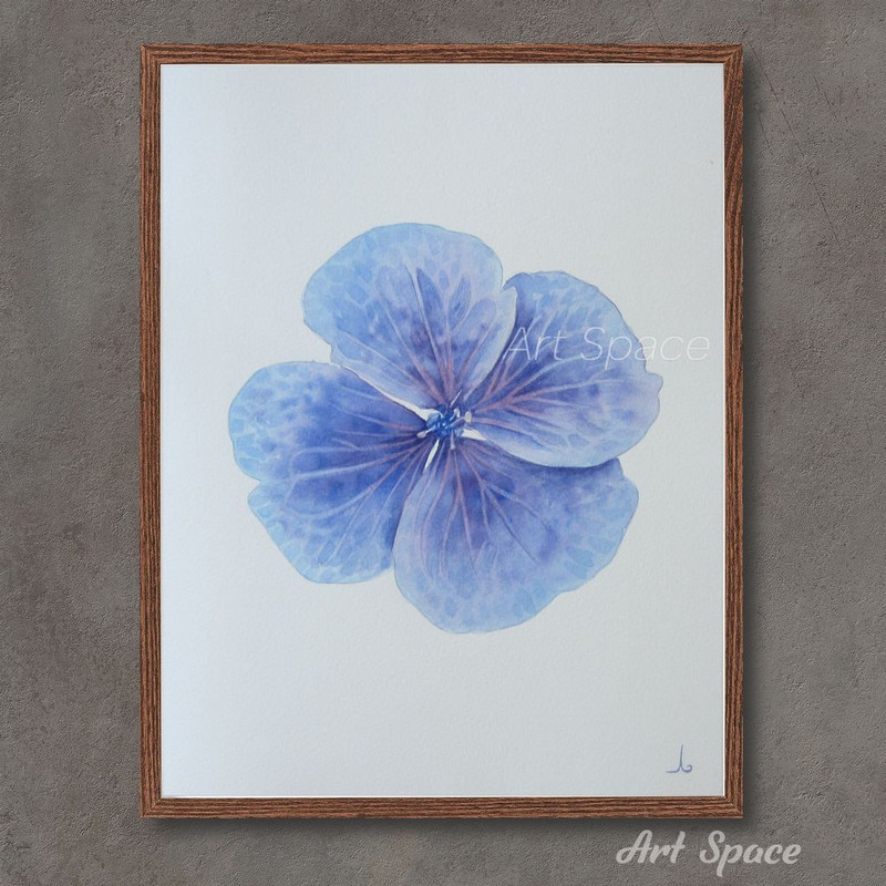 Hydrangea - flower - plant - botanical illustration - botany - home flower - blue painting - 2.jpg