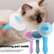 Self Cleaning Pet Comb for Grooming 3