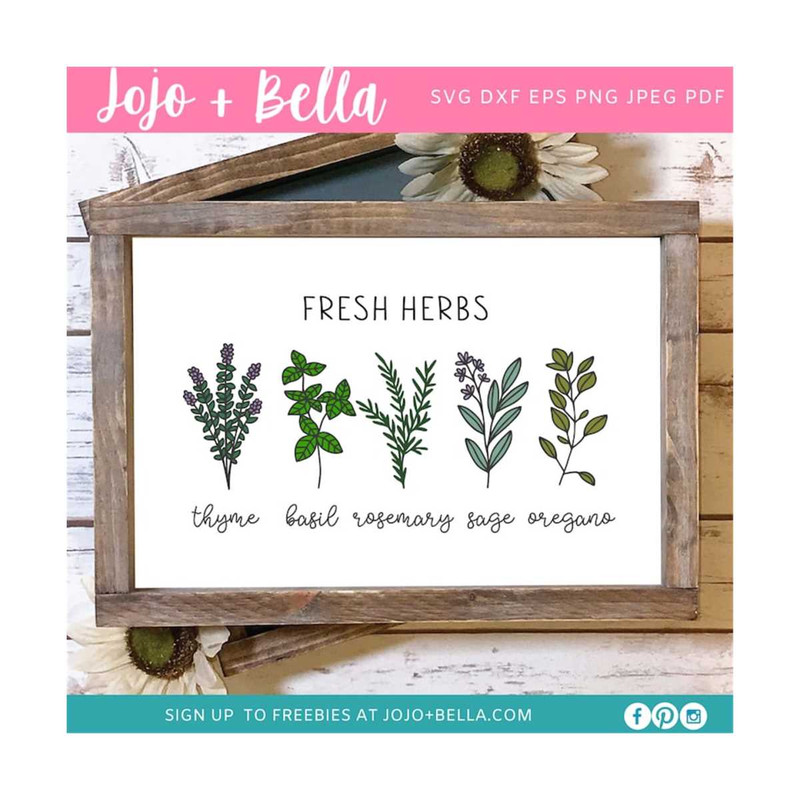 MR-2592023174237-fresh-herbs-svg-farmhouse-kitchen-sign-gardening-svg-herbs-image-1.jpg