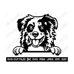 australian shepherd peeking silhouette aussie peeeking svg cricut file svg / png / dxf / eps