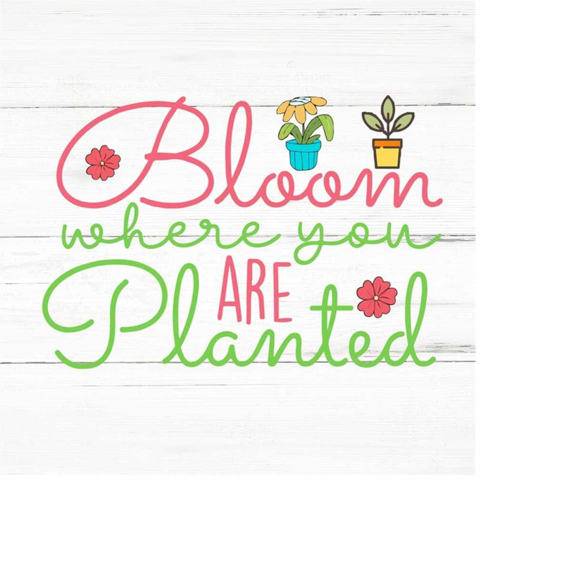 MR-2592023183357-bloom-planted-svg-spring-svghello-spring-svgwelcome-spring-image-1.jpg