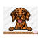 MR-2592023183749-vizsla-svg-for-cricut-vizsla-svg-cut-file-peeking-vizsla-svg-image-1.jpg