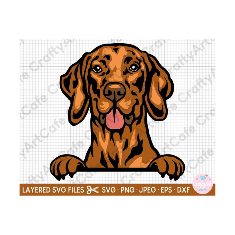 MR-2592023183749-vizsla-svg-for-cricut-vizsla-svg-cut-file-peeking-vizsla-svg-image-1.jpg