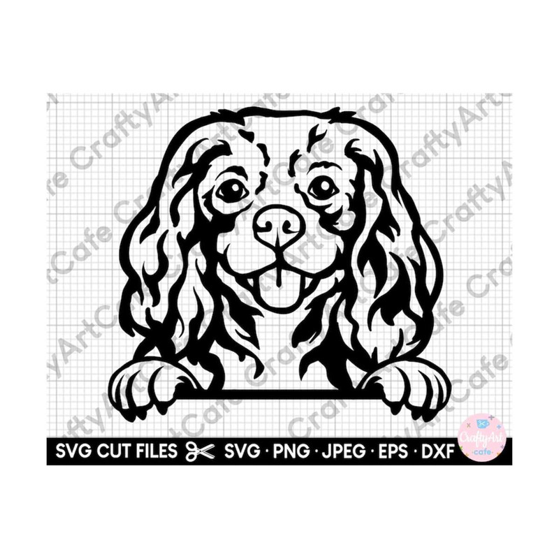 MR-2592023184740-cavalier-king-charles-peeking-svg-cavalier-king-charles-image-1.jpg